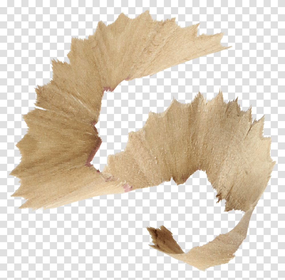 Wood Shavings Pencil Shavings Background, Paper, Peel, Leaf, Plant Transparent Png