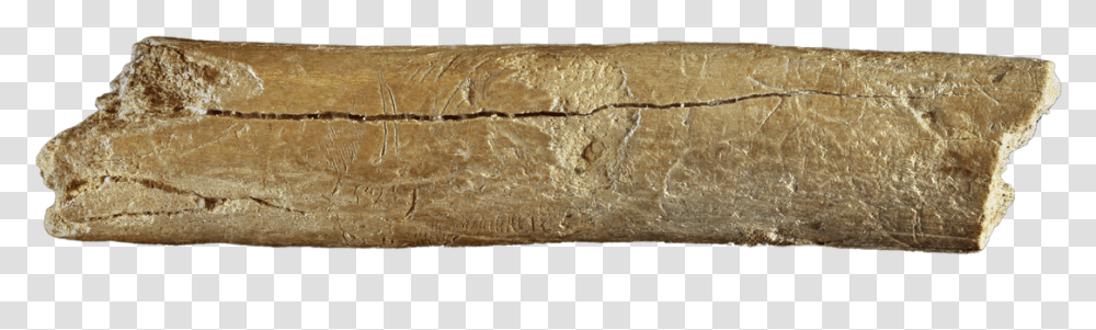 Wood, Soil, Fossil, Bread, Food Transparent Png