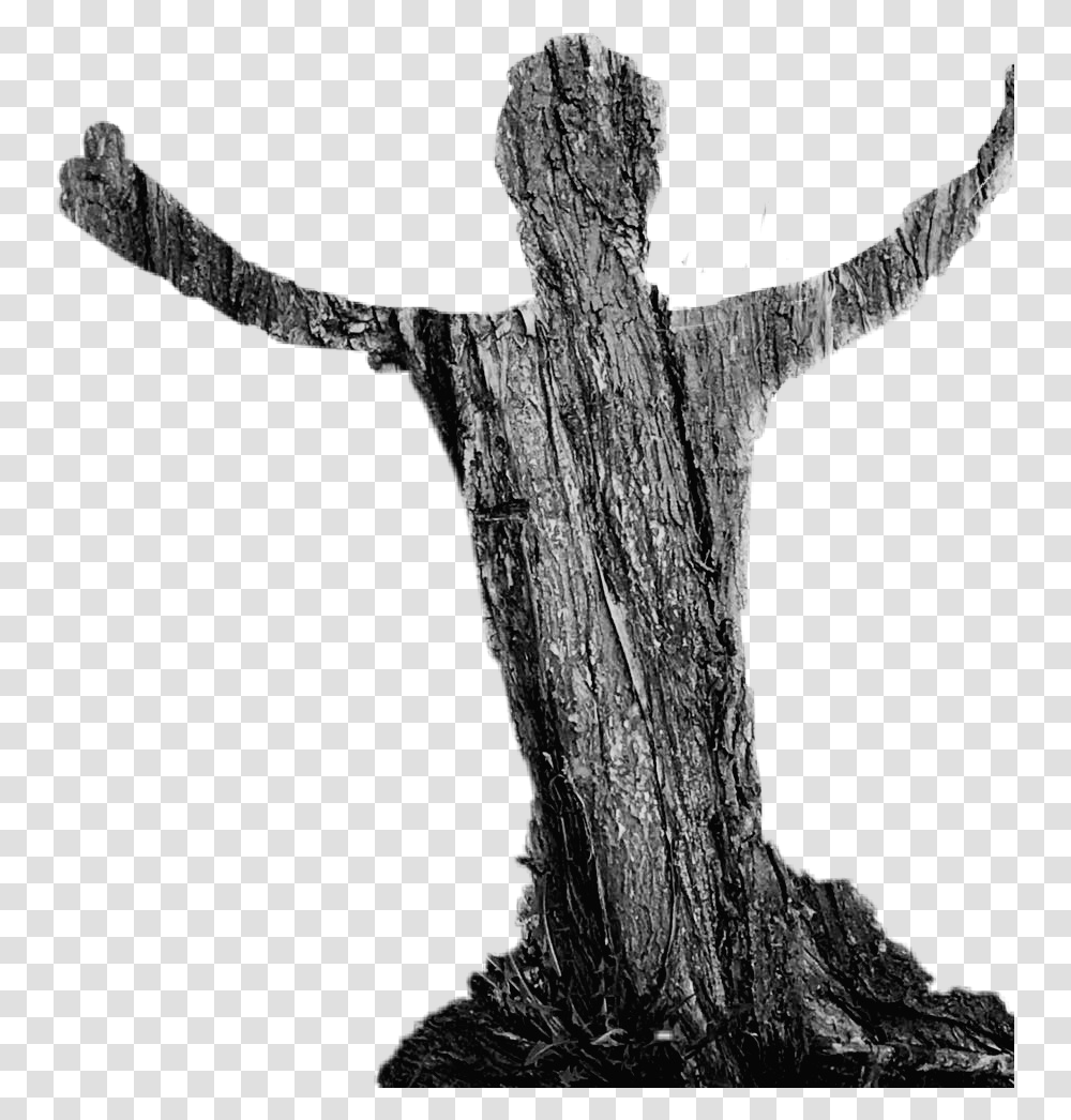 Wood Tecture Shadow Man Treeshadow Monochrome, Cross, Plant, Tree Trunk Transparent Png