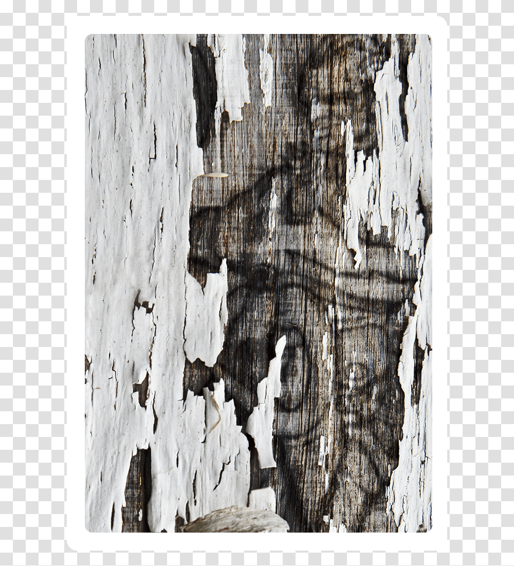 Wood Tome 1 Visual Arts, Tree, Plant, Rock, Hardwood Transparent Png