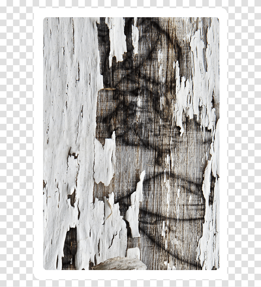 Wood Tome 2 Visual Arts, Tree, Plant, Tree Trunk, Ice Transparent Png
