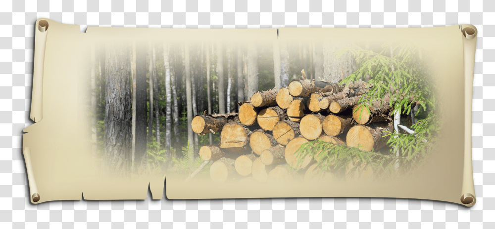 Wood With The Birch Bark And Then Build Up The Logs Lumber, Painting Transparent Png