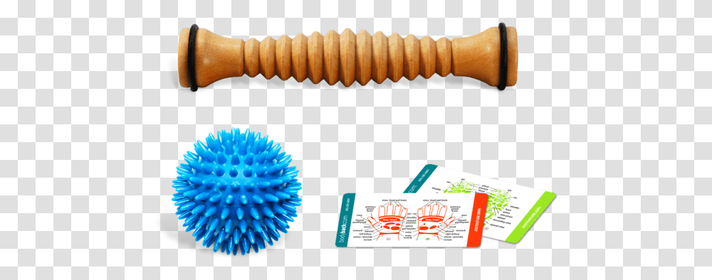 Wooden Foot Roller Bundle With Porcupine Massage Ball Plantar Fasciitis, Paper, Animal, Sea Life Transparent Png