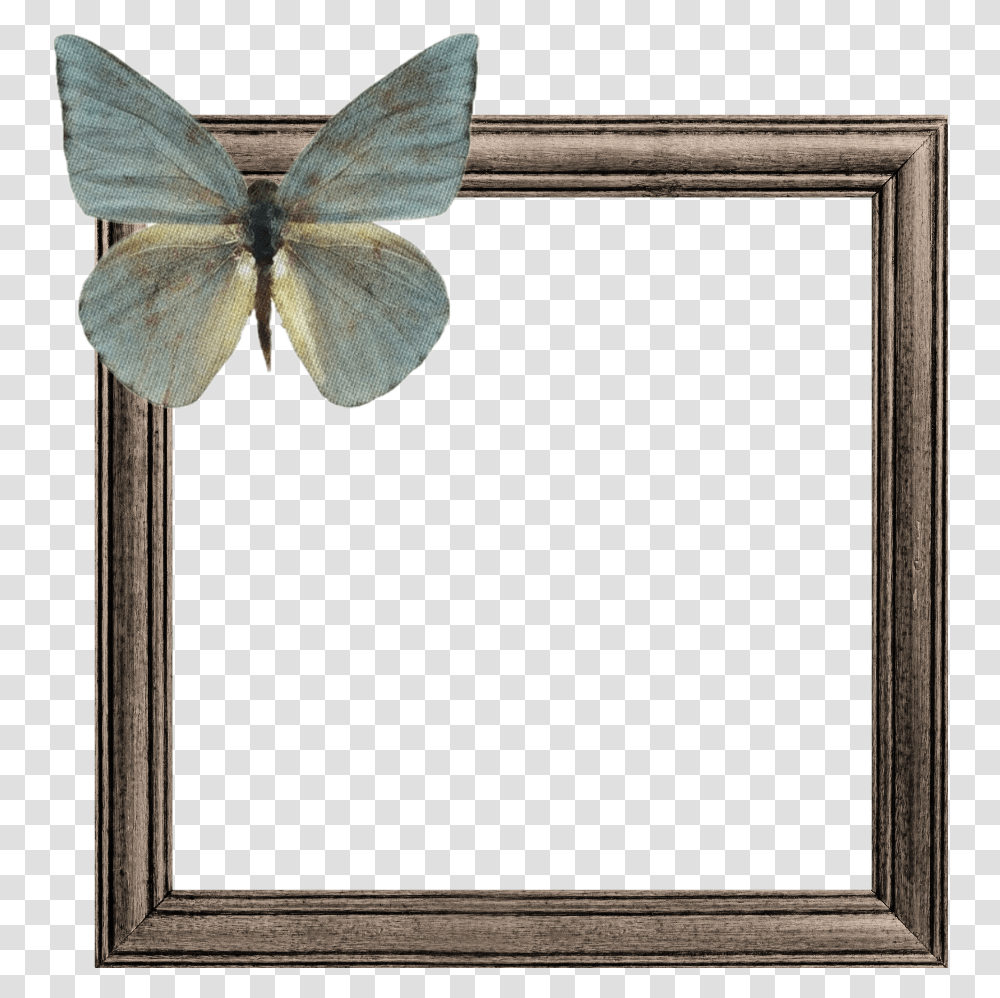 Wooden Frame Frames Butterfly Brown Green Border Picture Frame, Animal, Invertebrate, Insect, Axe Transparent Png