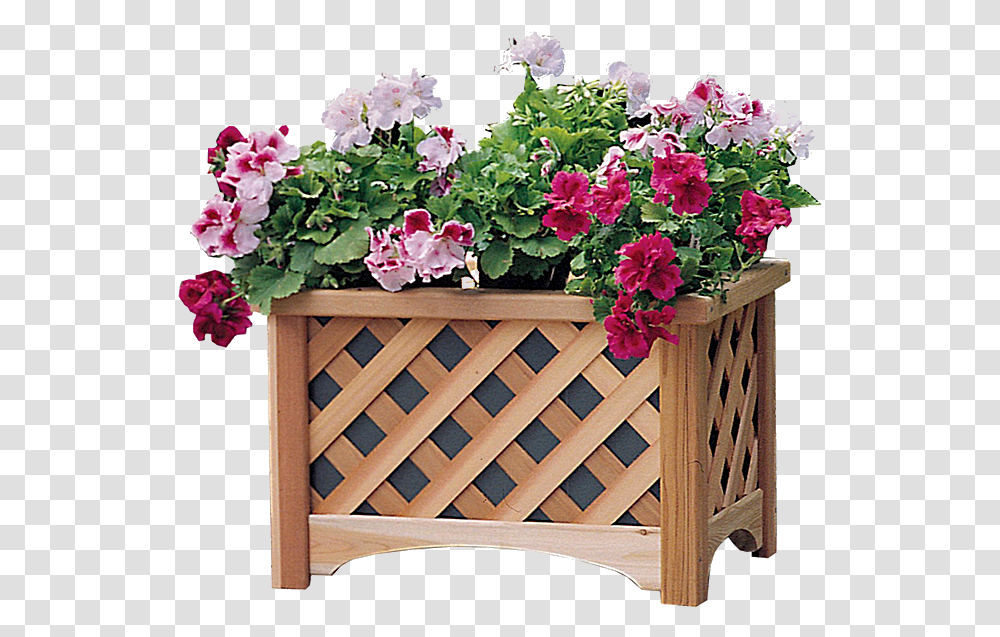 Wooden Planter Boxes, Flower, Geranium, Chair, Flower Arrangement Transparent Png