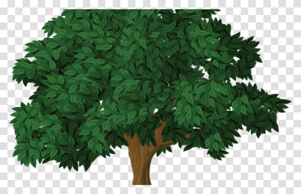 Woodland Daily Democrat Tree With Roots, Plant, Leaf, Bush, Vegetation Transparent Png