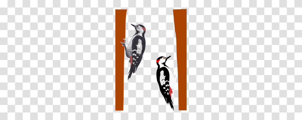 Woodpecker Animals, Arrow, Label Transparent Png