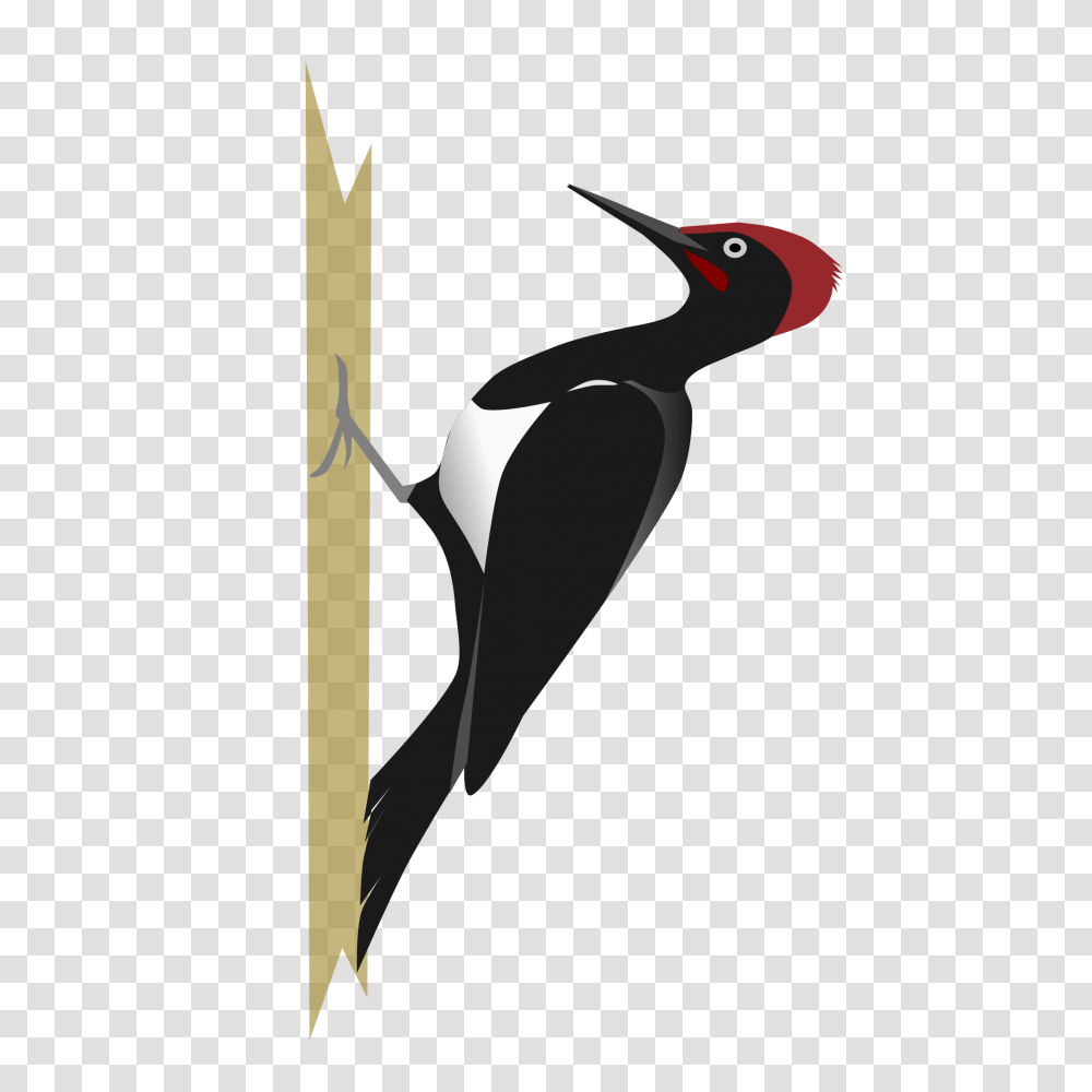 Woodpecker, Animals, Axe, Tool, Bird Transparent Png