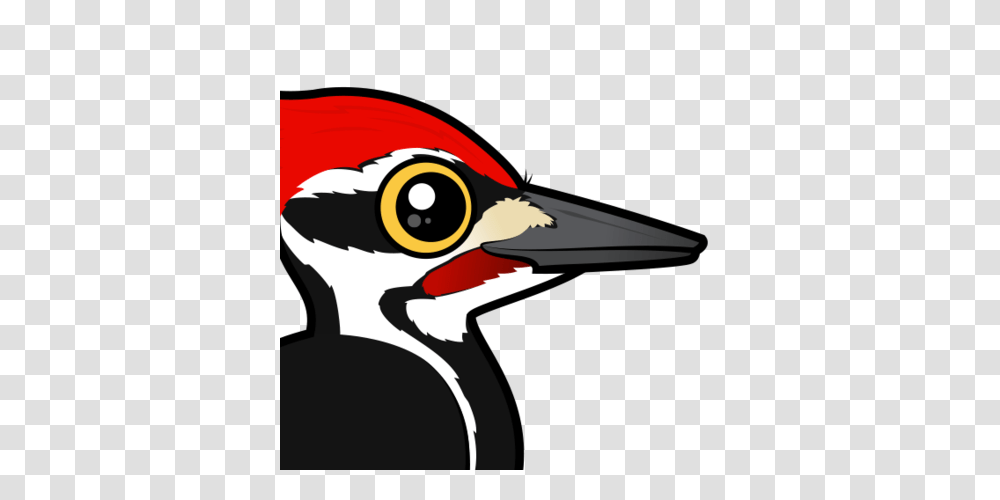 Woodpecker, Animals, Beak, Bird, Flicker Bird Transparent Png
