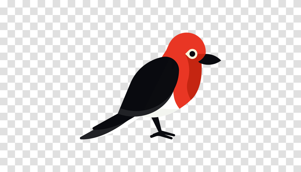 Woodpecker, Animals, Bird, Beak, Cardinal Transparent Png
