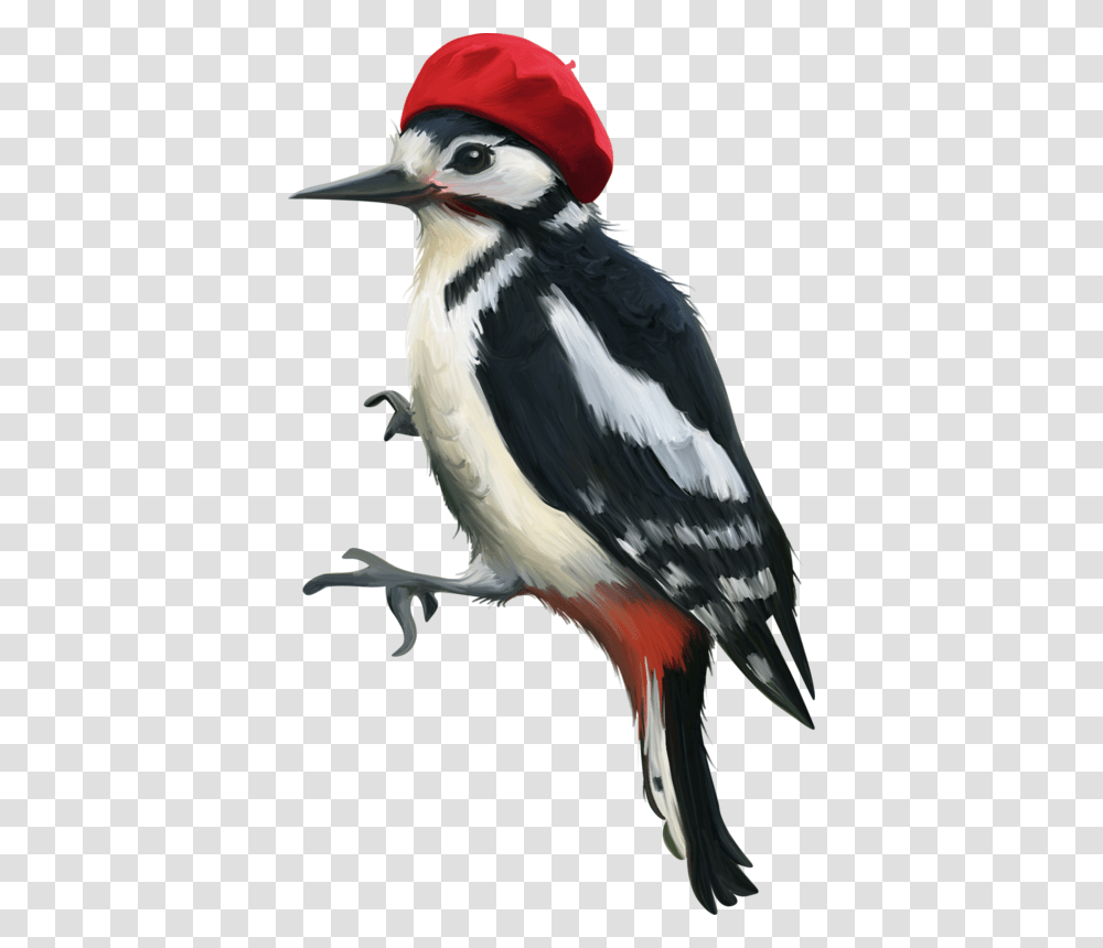 Woodpecker, Animals, Bird, Beak, Eagle Transparent Png