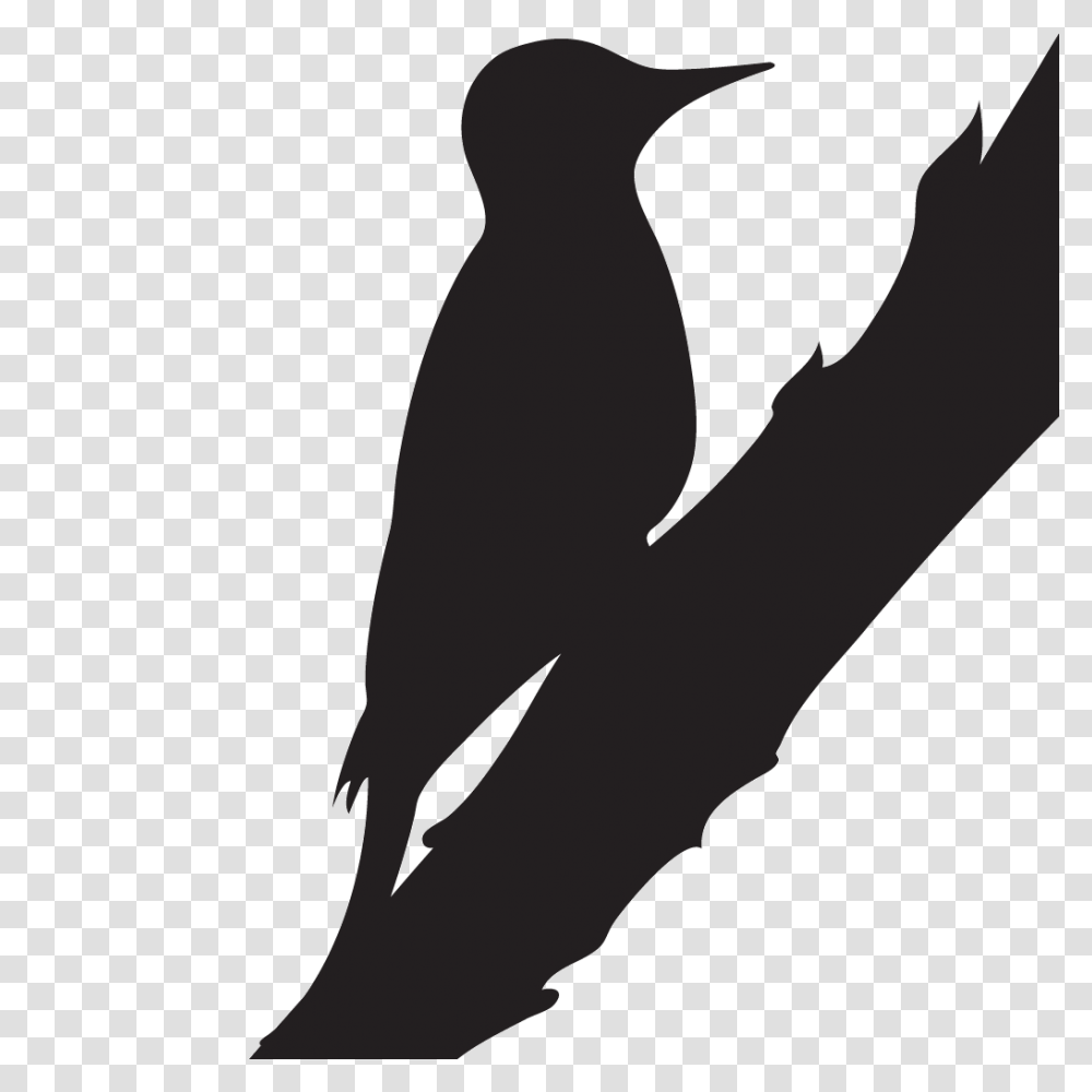 Woodpecker, Animals, Silhouette, Crow, Bird Transparent Png