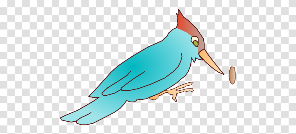 Woodpecker Clip Art Free Vector, Animal, Bird, Jay, Canary Transparent Png