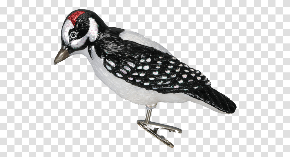 Woodpecker Free Pic Old World Christmas, Bird, Animal, Finch, Jay Transparent Png