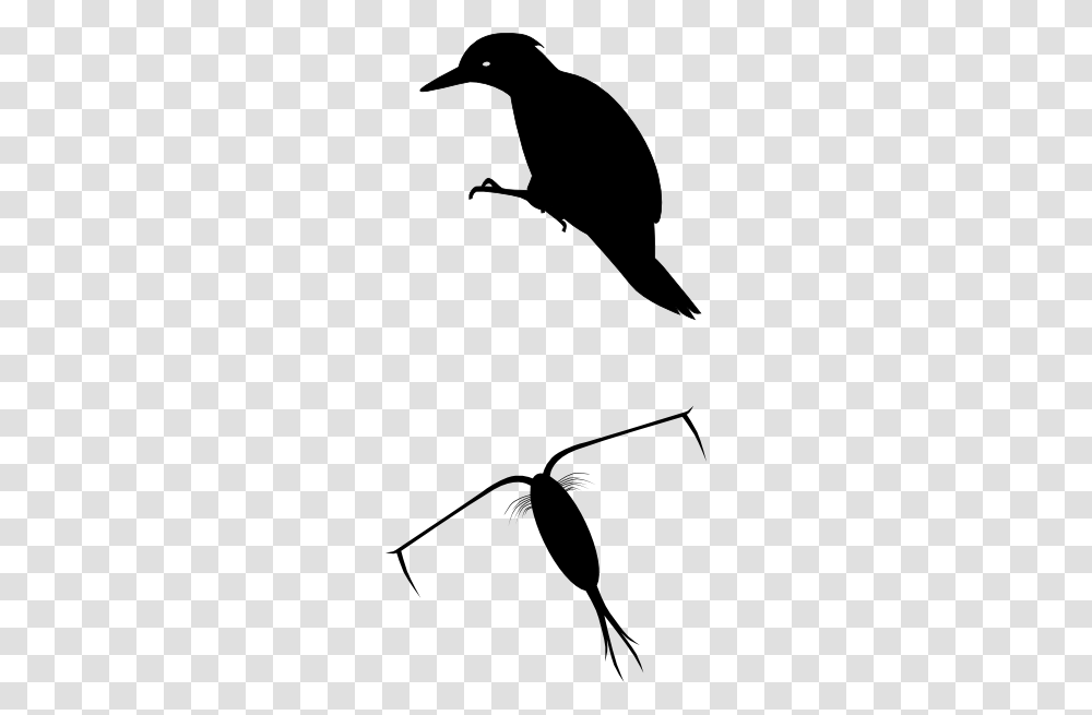 Woodpecker Silhoutte Clip Art, Animal, Bird, Silhouette, Stencil Transparent Png