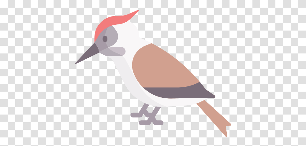 Woodpecker Woodpecker Icon, Bird, Animal, Beak, Dove Transparent Png