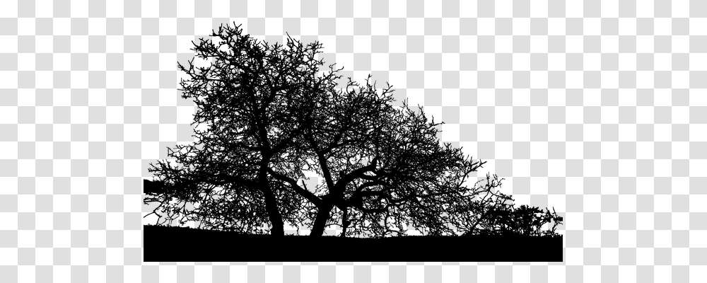 Woods Nature, Gray, World Of Warcraft Transparent Png