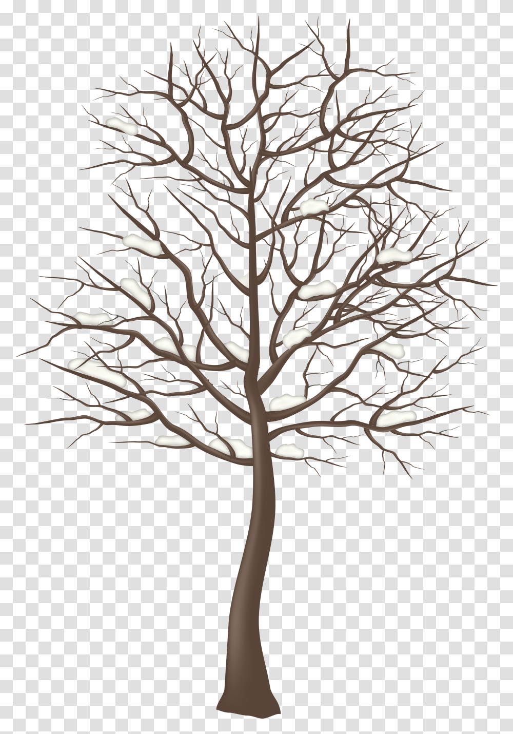 Woods Clipart Snowy Winter Tree Clipart Transparent Png