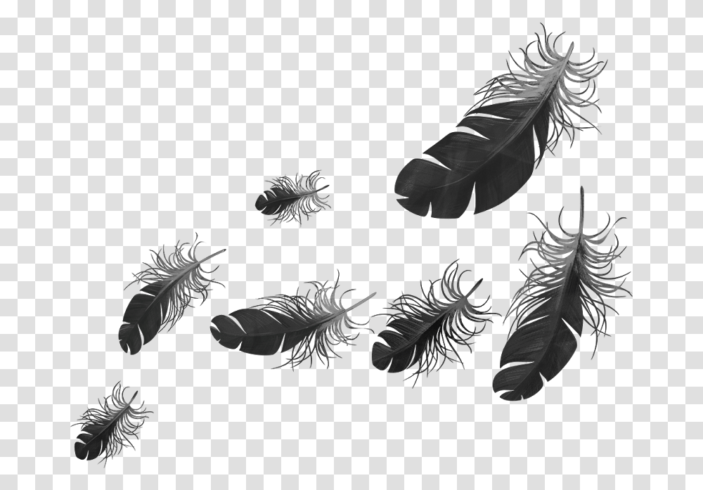 Woods, Invertebrate, Animal, Leaf Transparent Png