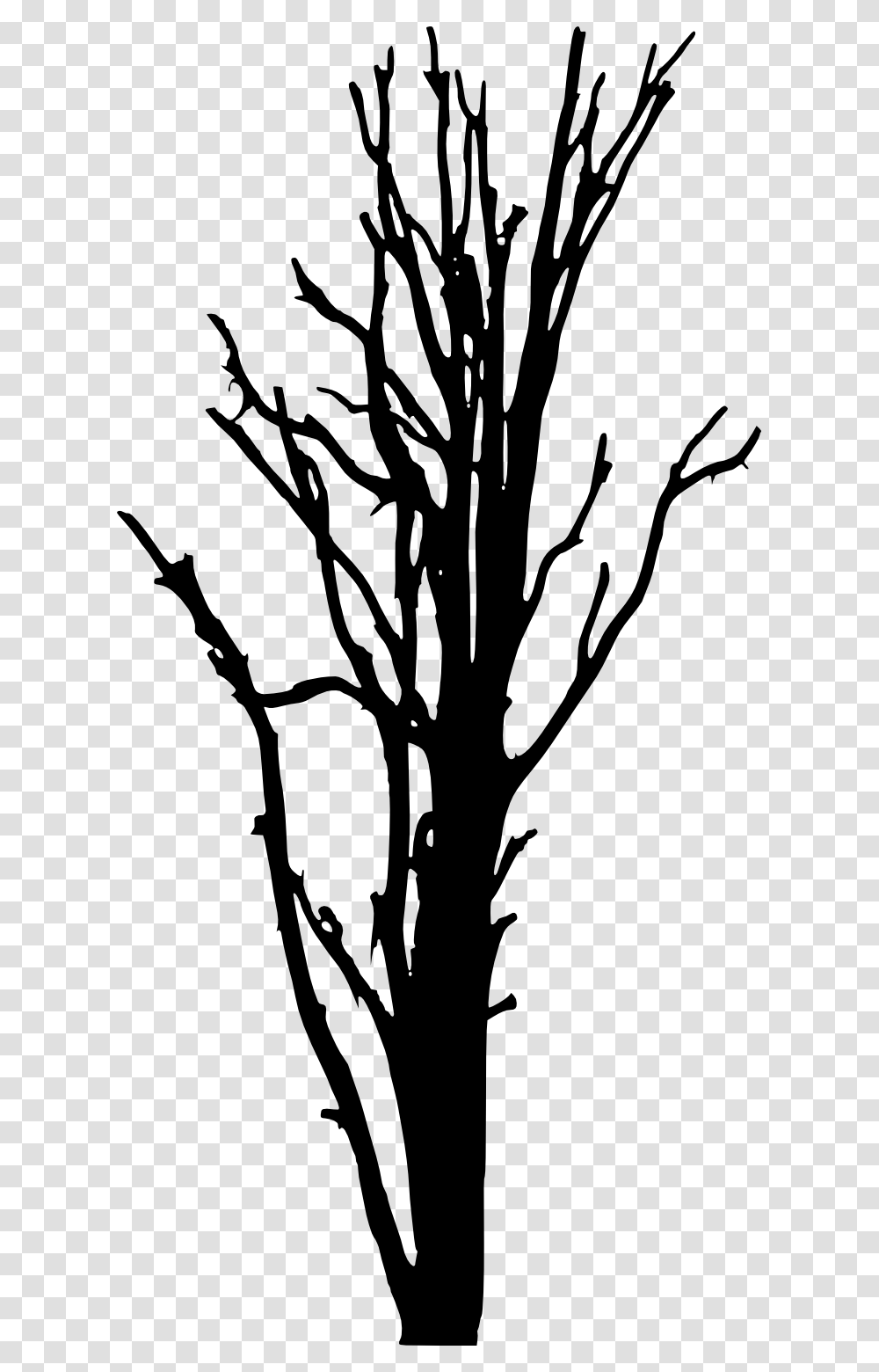Woody Plant Tree Silhouette Clip Art Tree Trunk Silhouette, Stencil Transparent Png