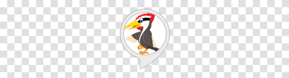 Woody Woodpecker Alexa Skills, Bird, Animal, Finch, Flicker Bird Transparent Png