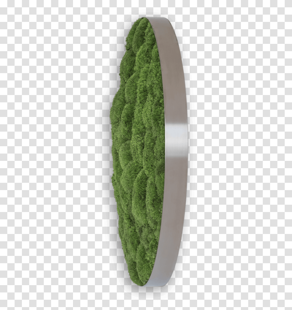Wool, Green, Moss, Plant, Rug Transparent Png
