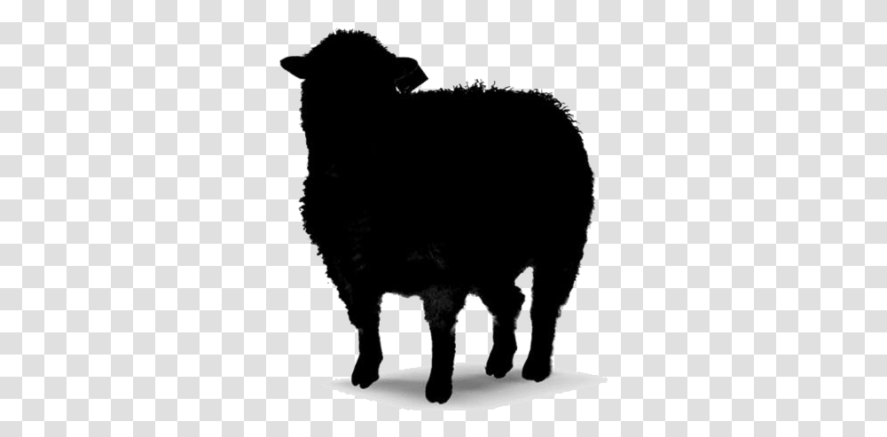 Wool Sheep Icon Pngimages Sheep, Silhouette, Mammal, Animal, Buffalo Transparent Png