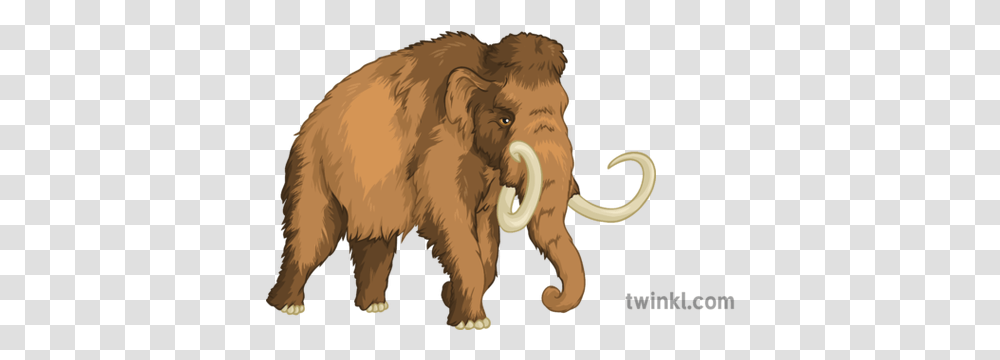 Woolly Mammoth Geography History Extinct Animals Secondary Big, Mammal, Wildlife, Elephant, Ivory Transparent Png
