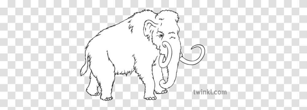 Woolly Mammoth Geography History Extinct Animals Secondary Mammoth Black And White, Mammal, Wildlife, Person, Human Transparent Png