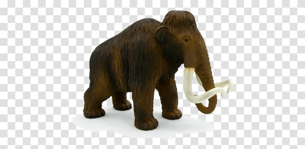 Woolly Mammoth Scale, Elephant, Wildlife, Mammal, Animal Transparent Png