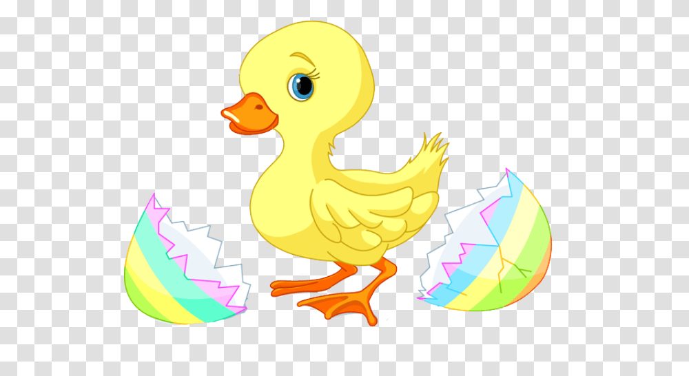 Word Clipart Duck, Animal, Bird, Dodo Transparent Png