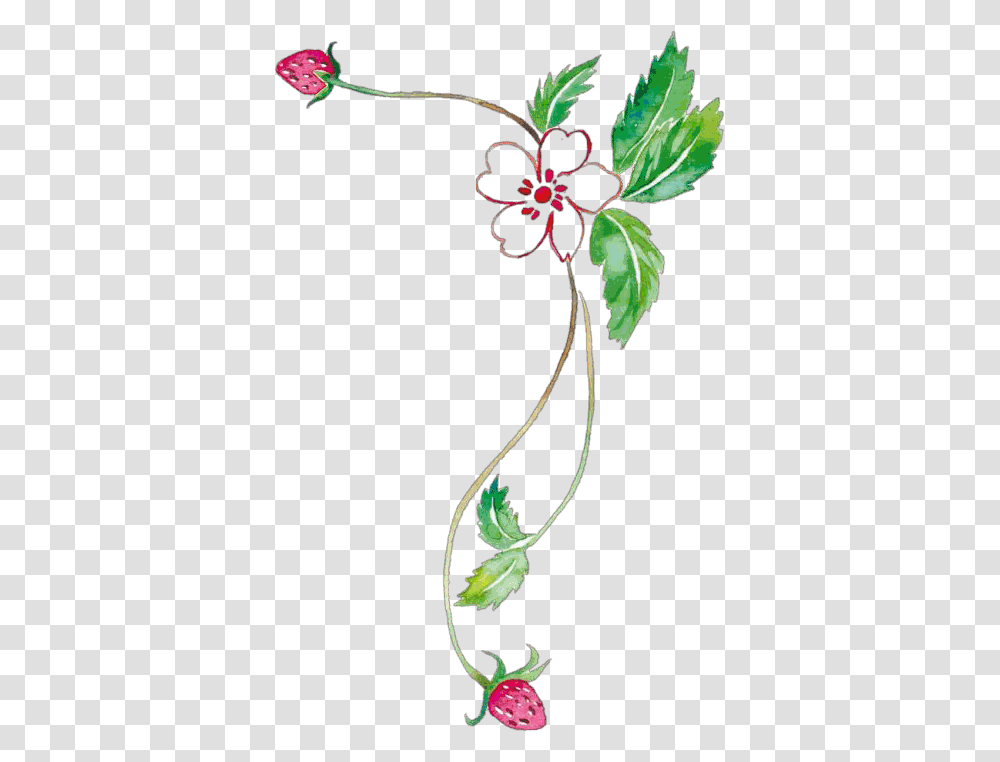 Word, Plant, Floral Design, Pattern Transparent Png