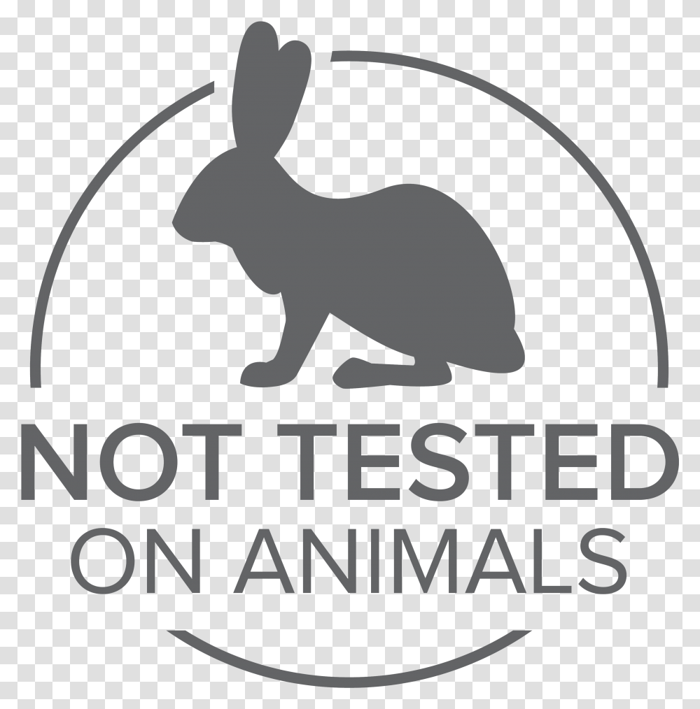 Work Integrated Learning Logo Not Tested On Animals Icon, Rodent, Mammal, Poster, Advertisement Transparent Png