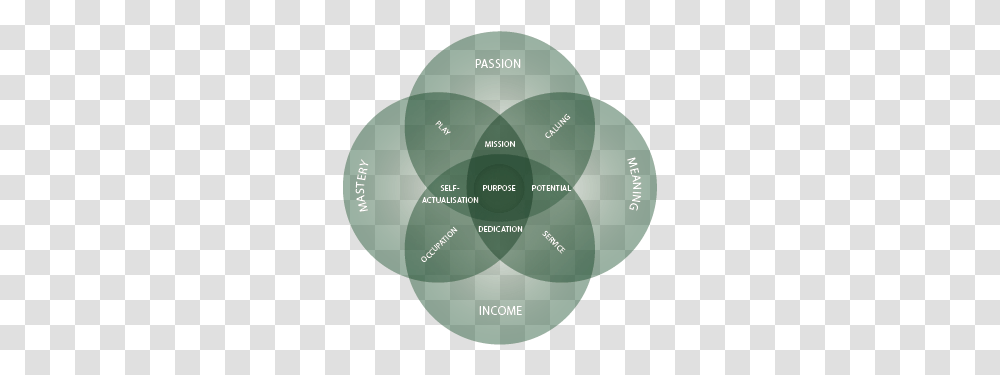 Work Magic Circle, Sphere, Disk, Diagram, Text Transparent Png