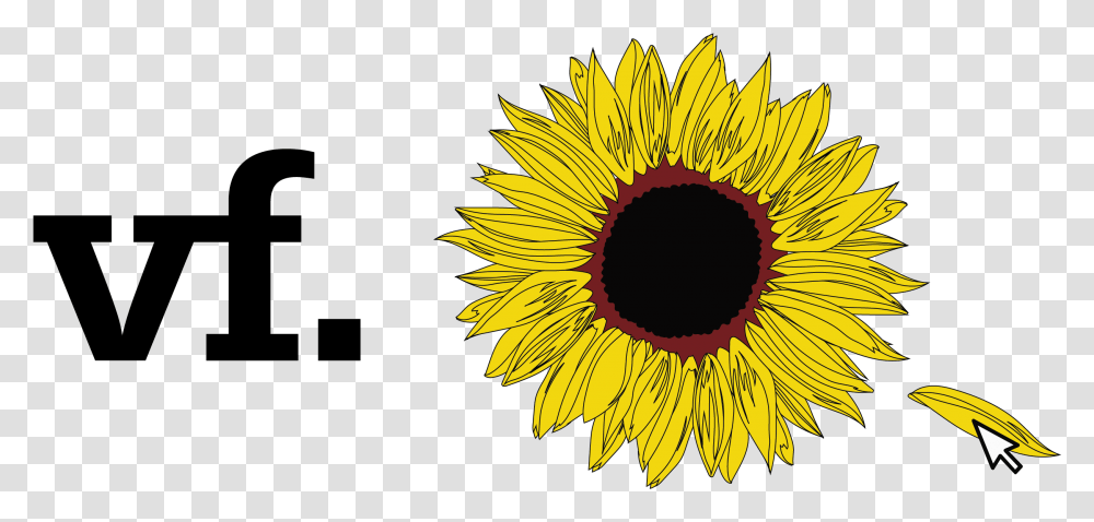 Work Sunflower, Plant, Blossom, Pollen, Asteraceae Transparent Png