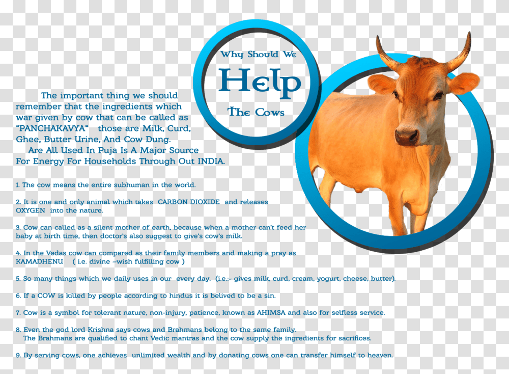 Working Animal Download Working Animal, Cow, Cattle, Mammal, Bull Transparent Png
