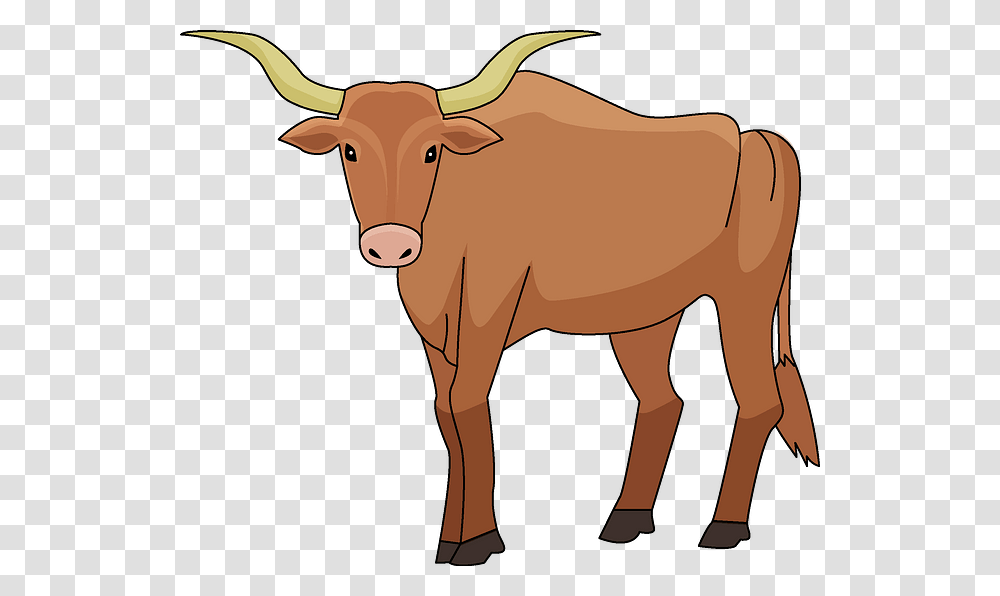 Working Animal, Longhorn, Cattle, Mammal, Bull Transparent Png