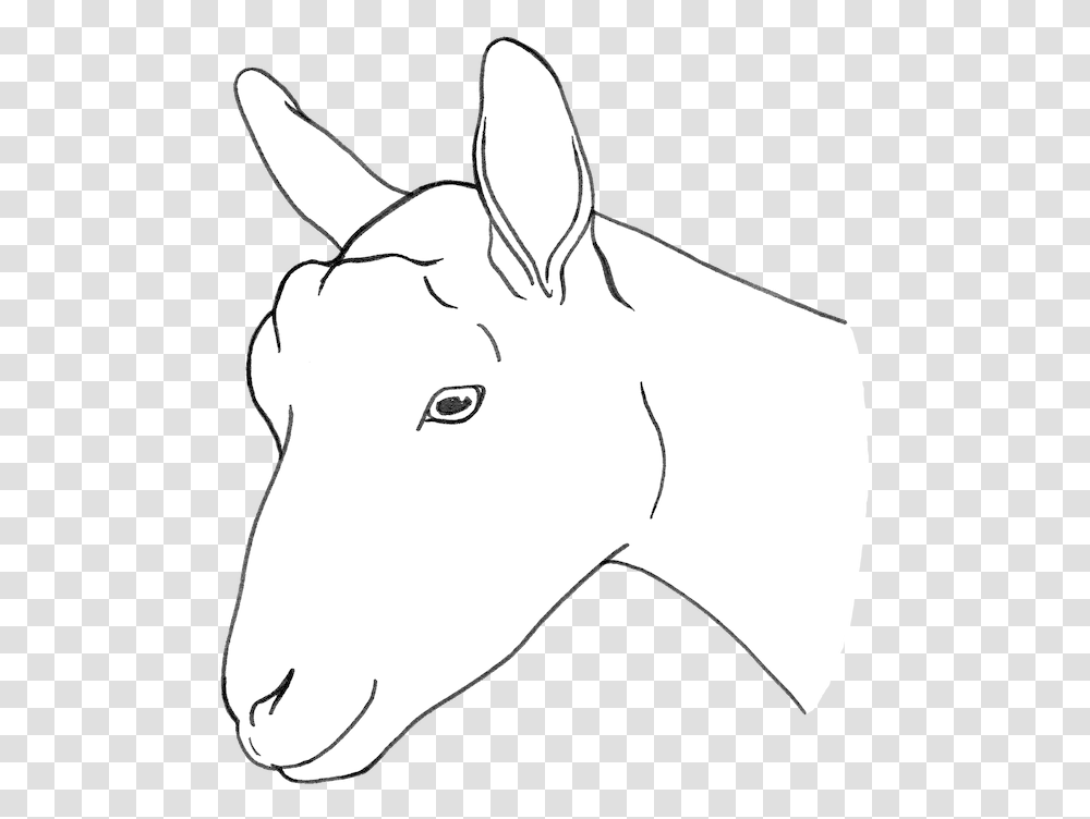 Working Animal, Mammal, Donkey, Goat Transparent Png