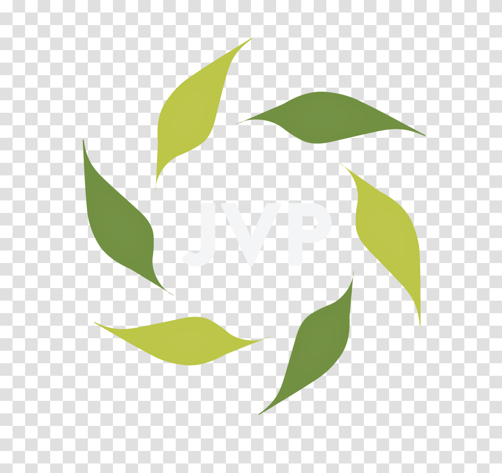 Working With Media, Green, Plant, Potted Plant, Vase Transparent Png