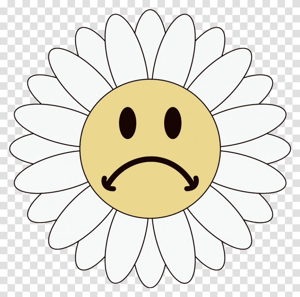 Works Fine On My Machine, Daisy, Flower, Plant, Daisies Transparent Png