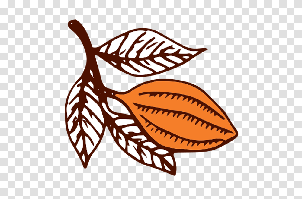 Workshops, Seed, Grain, Produce, Vegetable Transparent Png