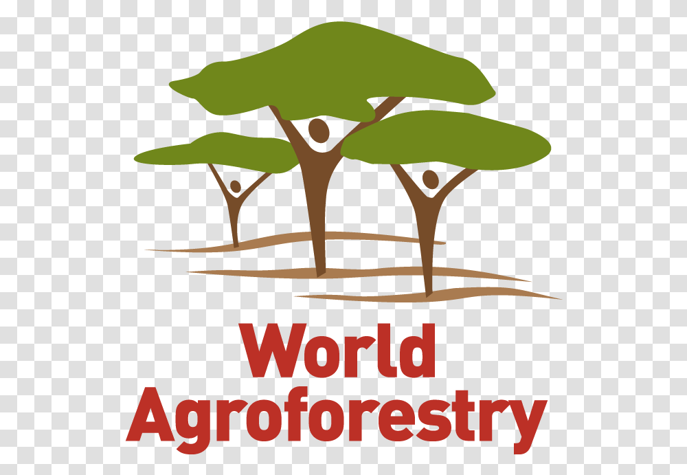 World Agroforestry Transforming Lives And Landscapes With World Agroforestry Centre, Poster, Advertisement, Plant, Text Transparent Png