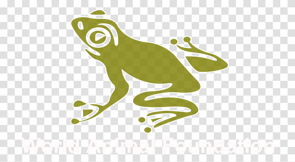 World Animal Foundation, Frog, Amphibian, Wildlife, Tree Frog Transparent Png