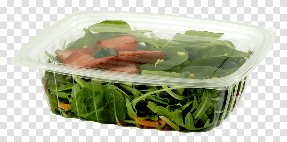 World Centric Clear Rectangular Deli Envases Biodegradables Para Ensaladas, Plant, Food, Vegetable, Produce Transparent Png