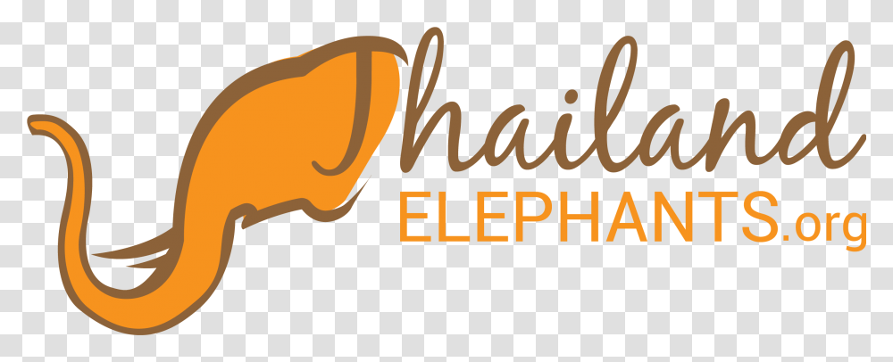 World Elephant Day Thailand Elephants Logo, Text, Handwriting, Calligraphy, Plant Transparent Png