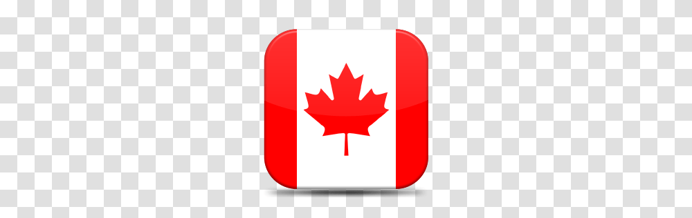 World Flags, Countries, Leaf, Plant, First Aid Transparent Png