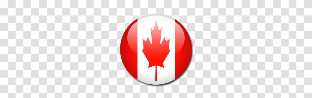 World Flags, Countries, Leaf, Plant, Tree Transparent Png