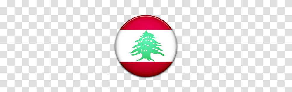 World Flags, Countries, Tree, Plant Transparent Png