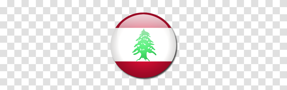 World Flags, Countries, Tree, Plant, Ornament Transparent Png