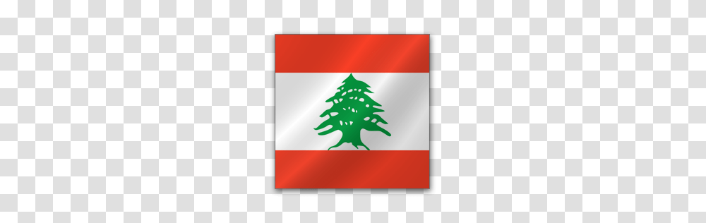 World Flags, Countries, Tree, Plant, Ornament Transparent Png